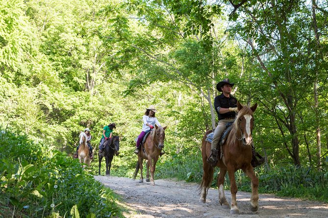 Horseback-Riding in a Country Side in Sapporo - Private Transfer Is Included - Tour Details and Logistics