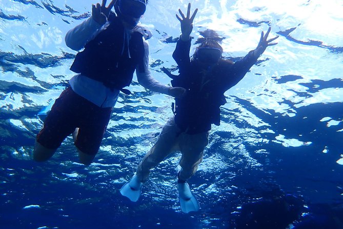 [Ishigaki]Phantom Island Snorkeling Taketomi Island Sightseeing - Exploring Taketomi Island