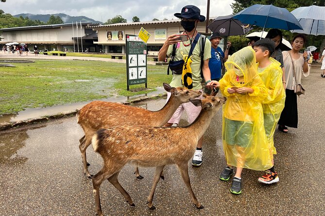 Kyoto and Nara 1 Day Bus Tour - Tour Itinerary