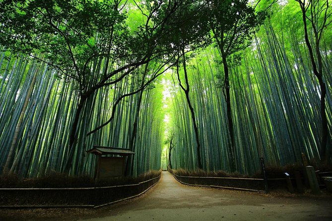 Kyoto Arashiyama & Sagano Bamboo Private Tour With Government-Licensed Guide - Explore the Enchanting Arashiyama District