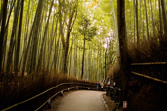 Kyoto Bamboo Forest Electric Bike Tour - The Enchanting Bamboo Forest of Kyoto