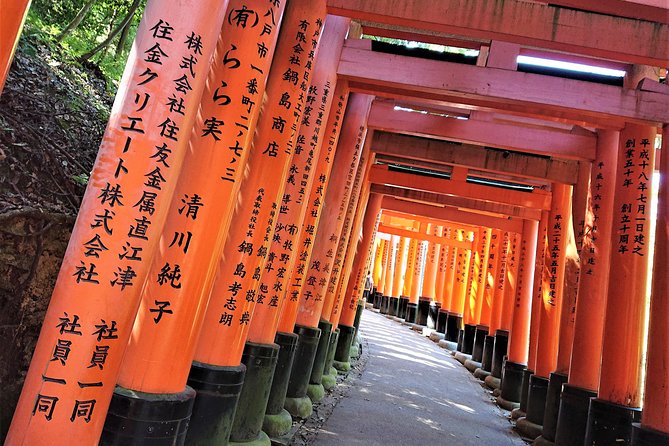 Kyoto Late Bird Tour - Tour Overview