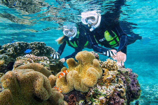 Miyakojima / Snorkel Tour to Enjoy Coral and Fish - Cancellation Policy
