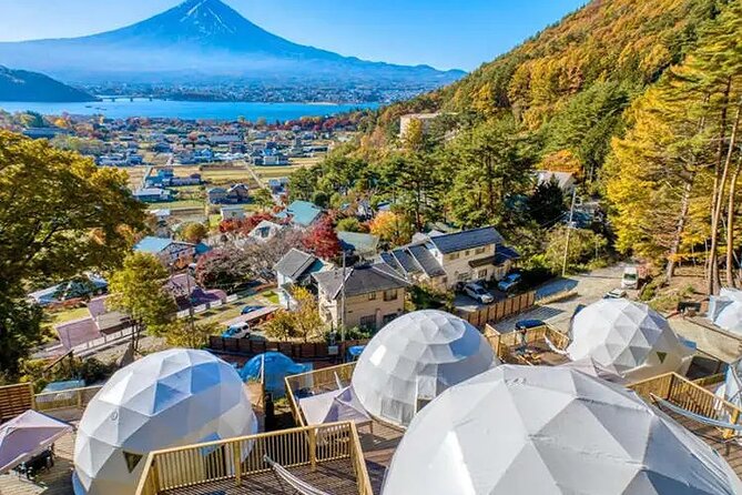 Mount Fuji Private Tour by Car With Pick up - Pricing and Cancellation