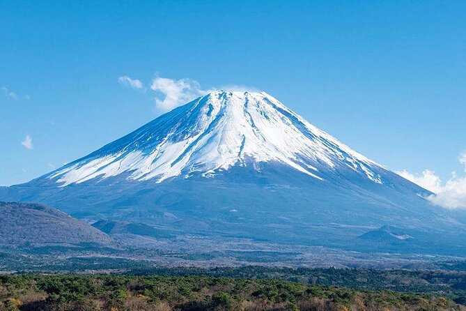 Mt. Fuji & Arakurayama Sengen Park Bus Tour - From Tokyo - Tour Details