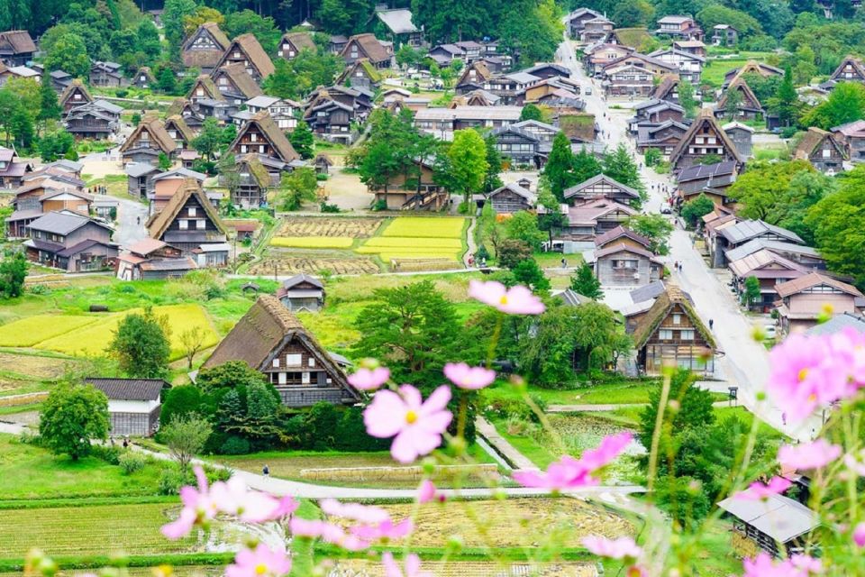 Nagoya: Shirakawa-go Village and Takayama UNESCO 1-Day Trip - Activity Details for the 1-Day Trip