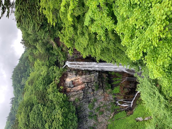 Nikko One Day Trip From Tokyo Private Charter Guide - Exploring Nikko: a Full-Day Private Charter Tour From Tokyo