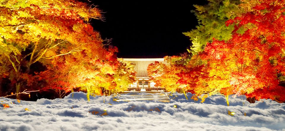 Ninnaji Temple: Special Entry for Unkai Light-up - Temple History and Significance