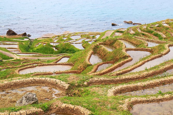 Noto Peninsula Private 1 Day Tour Photoshoot With Professional Photographer - Tour Overview