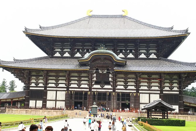 One-Day Tour of Amazing 8th Century Capital Nara - Booking and Availability