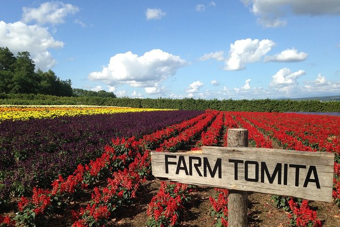 Private Alphard & Simple English Driver in Hokkaido(Sapporo Otaru Toya Furano) - Booking and Logistics