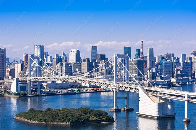 Private Day Tour in Tokyo With Government-Licensed Guide - Booking Details