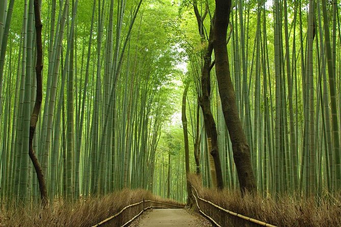 Private Kyoto Arashiyama Custom Half-Day Tour by Chartered Vehicle - Tour Details