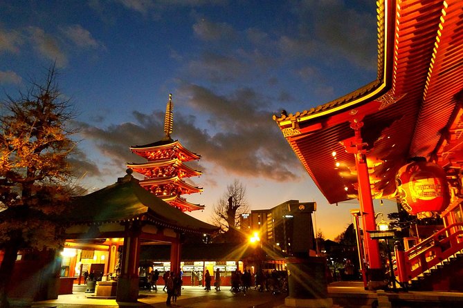 Private Tour Tokyo - the Harmony of Modernity and Tradition - Exploring Tokyos Modern Marvels