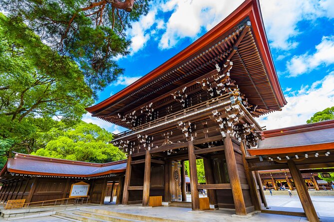 Tokyo 6 Hour Tour : English Speaking Driver Only, No Guide - Cancellation Policy