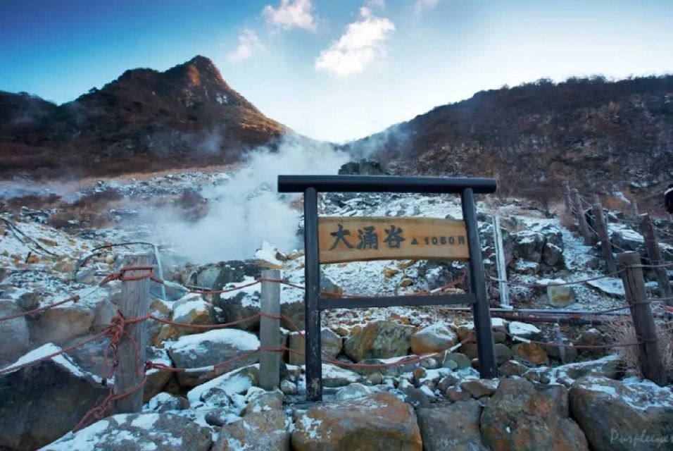Tokyo: Mt Fuji Area, Lake Ashi, Owakudani, Onsen 1-Day Tour - General Information