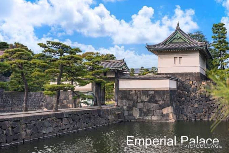 Tokyo: Private Full Day Sightseeing Tour - Tour Details