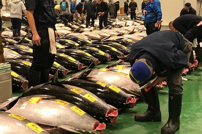 VIP Tuna Auction and Special Access at Toyosu Fish Market - Overview and Exclusive Access