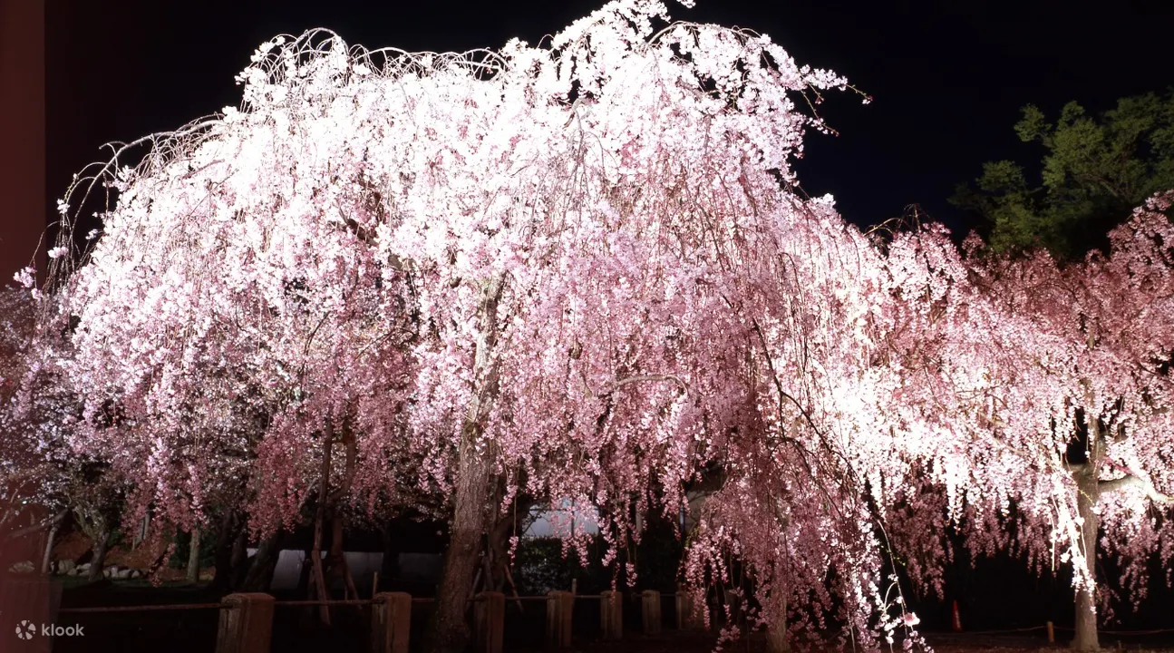 Nijo Castle and Ninomaru Palace Ticket in Kyoto - Tips for Visiting Nijo Castle and Ninomaru Palace