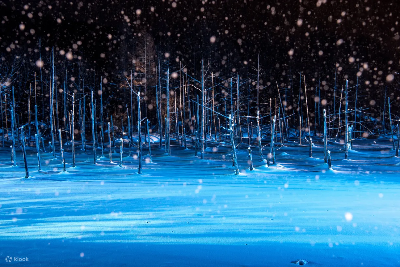 Asahiyama Zoo & Biei Blue Pond Day Trip in Hokkaido - Biei Blue Pond: A Captivating Natural Wonder