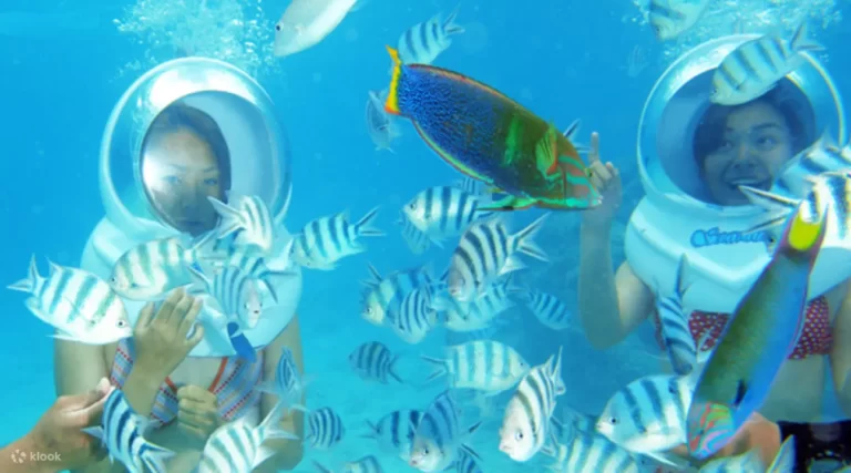 Onna Village Marine Walk