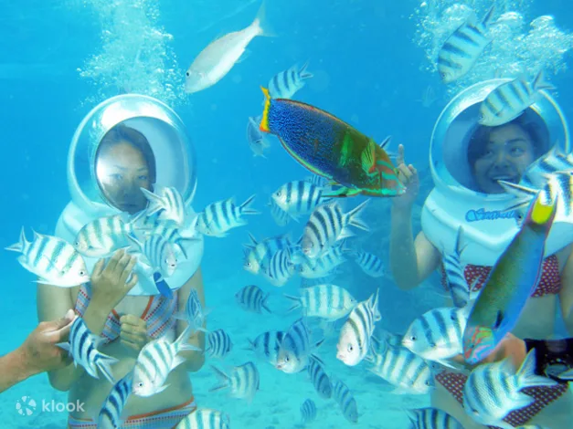 Onna Village Marine Walk - Rated 4.7 Out of 5 Based on 152 Reviews