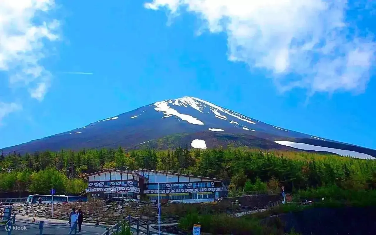 Mt. Fuji Premium Outlets & Onsen One Day Tour From Tokyo In Mandarin - Tour Highlights