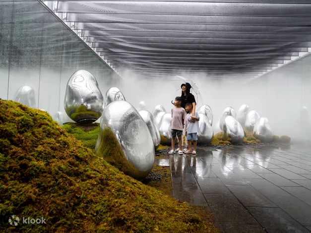 Teamlab Planets Ticket: How To Buy Online