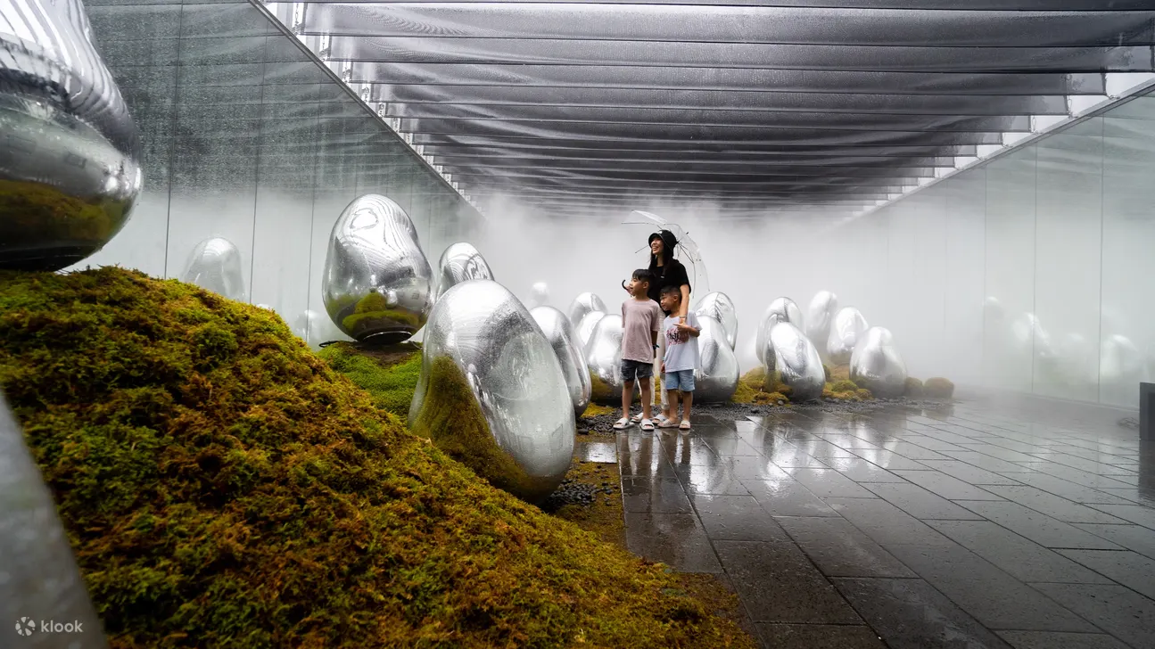 Teamlab Planets Ticket: How To Buy Online - What is it?