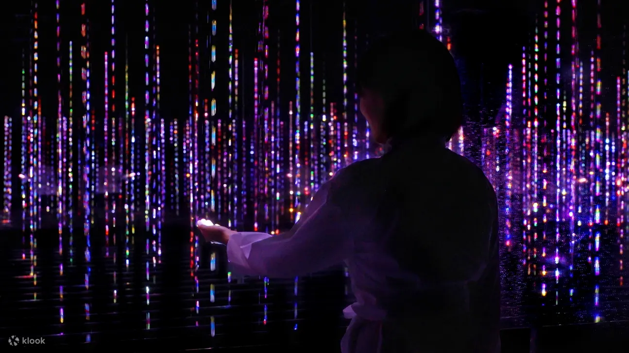 Teamlab Planets Ticket: How To Buy Online - Location and Concept