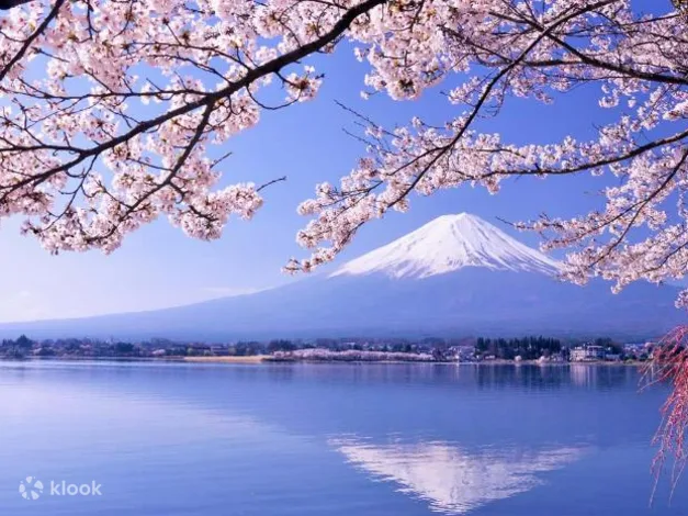 Jr Mt. Fuji Shizuoka Area Tourist Pass Mini