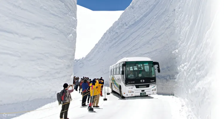 JR Alpine-Takayama-Matsumoto Area Pass: Where To Buy & Is It Worth It