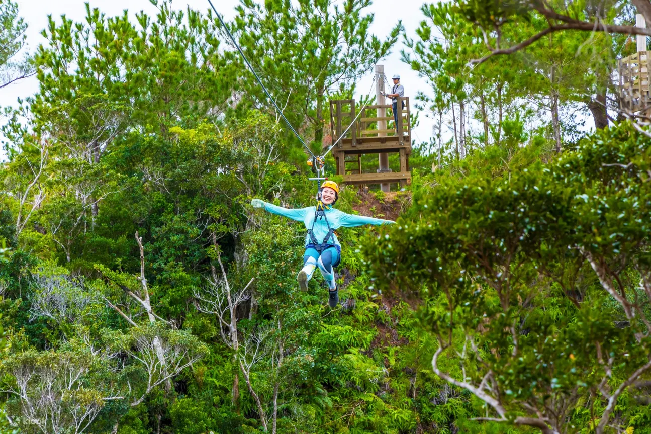 Book ATV and Hummer Adventure in Okinawa Online - Get off the Beaten Path With an ATV Adventure in Okinawa