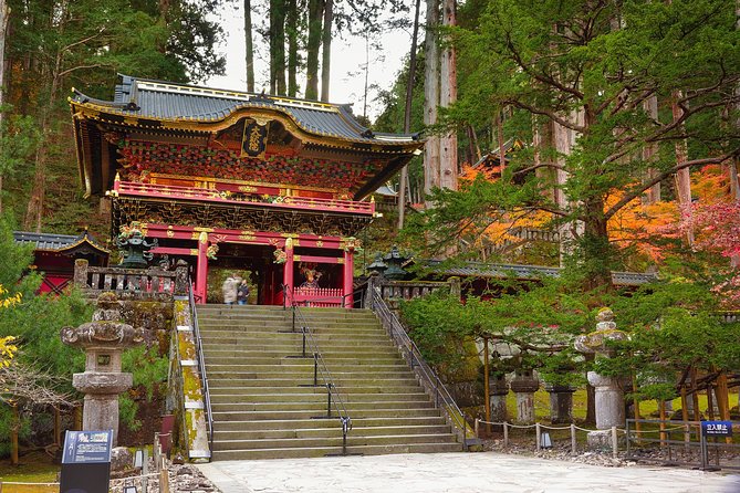 1 Day Private Car/Van Nikko Sightseeing Tour With “English Speaking Driver” - Customization Options