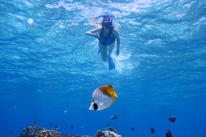 1day Kayak Tour in Kerama Islands and Zamami Island - Start and End Time