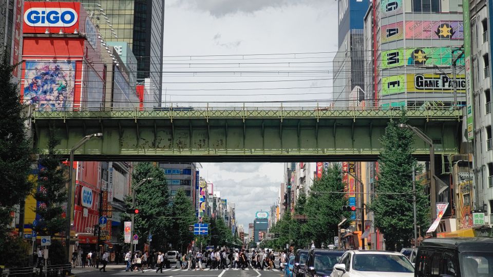 Akihabara: Anime and Electronics Guided Tour - Experience and Exploration