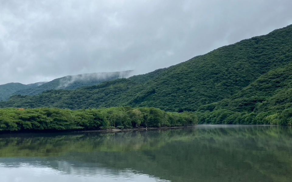 Amami: 朝のマングローブカヤックツアー - Experience Highlights