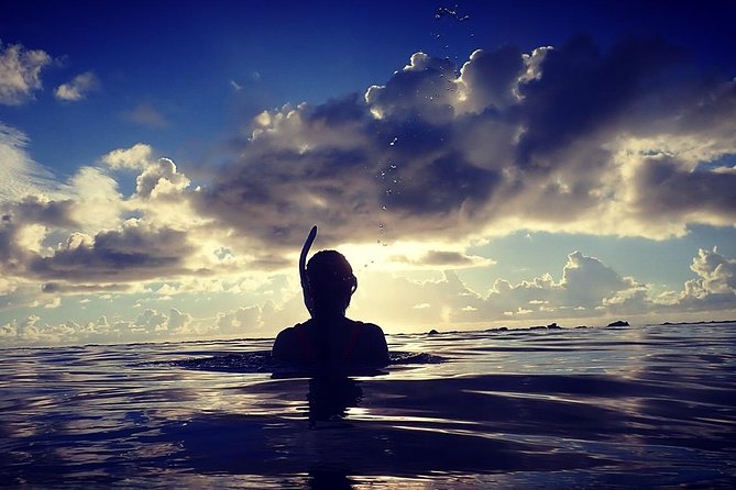 Amami Oshima Skin Diving Photo & Movie Tour! - Exploring the Underwater World of Amami Oshima