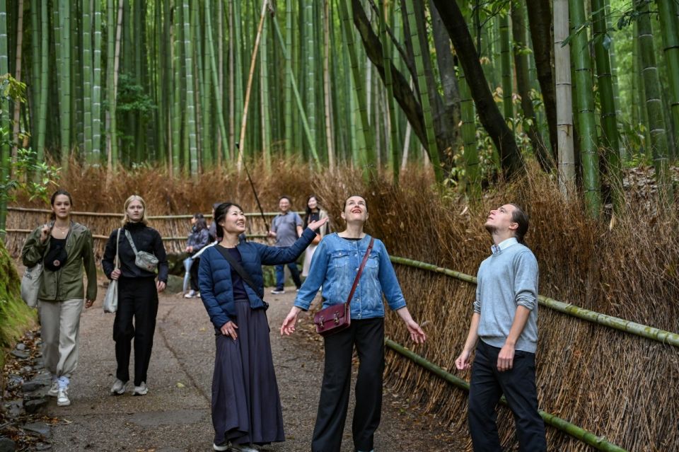 Arashiyama: Bamboo Grove and Temple Tour - Experience Highlights