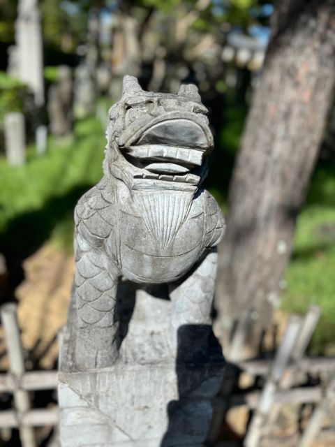 Arashiyama Kyoto Bamboo Forest, Monkey Park & Hidden Gems - Monkey Park