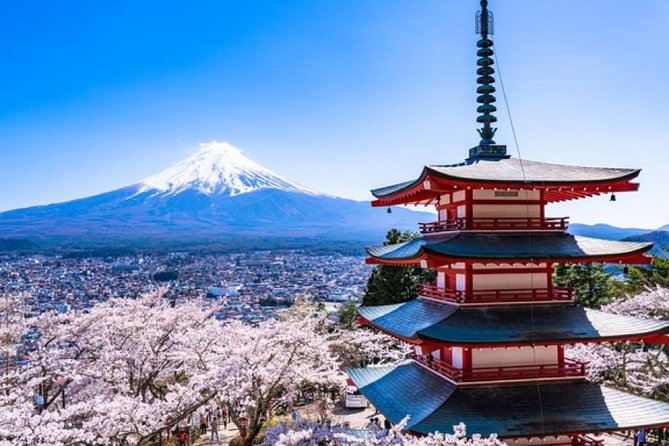 Cherry Blossom ! Five-Story Pagoda,Mt. Fuji 5th Station,Panoramic Ropeway - Inclusions