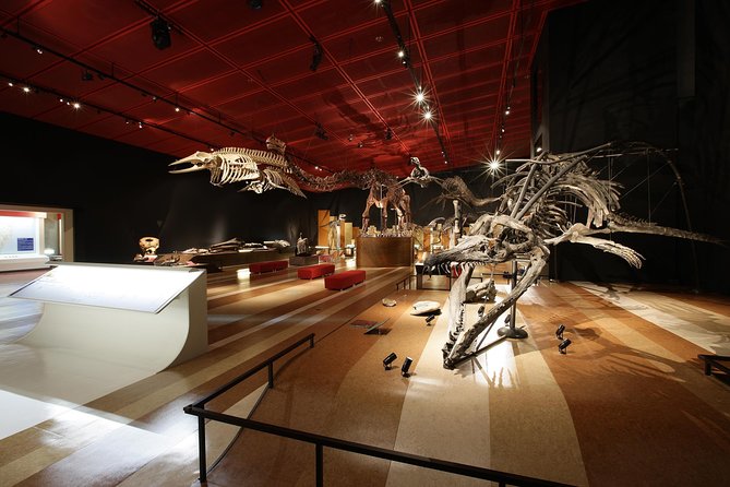 Coal & Fossil Museum Admission Ticket - Traveler Reviews and Ratings