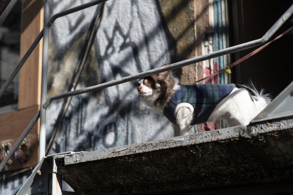 Discover Shimokitazawa: Tokyo's Bohemian Neighbourhood - Thrift Shopping Hotspots