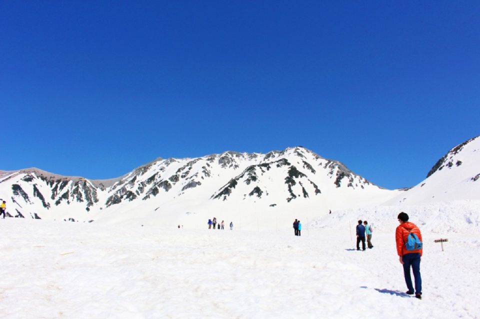 From Nagano: Tateyama-Kurobe Alpine Route - Experience Highlights
