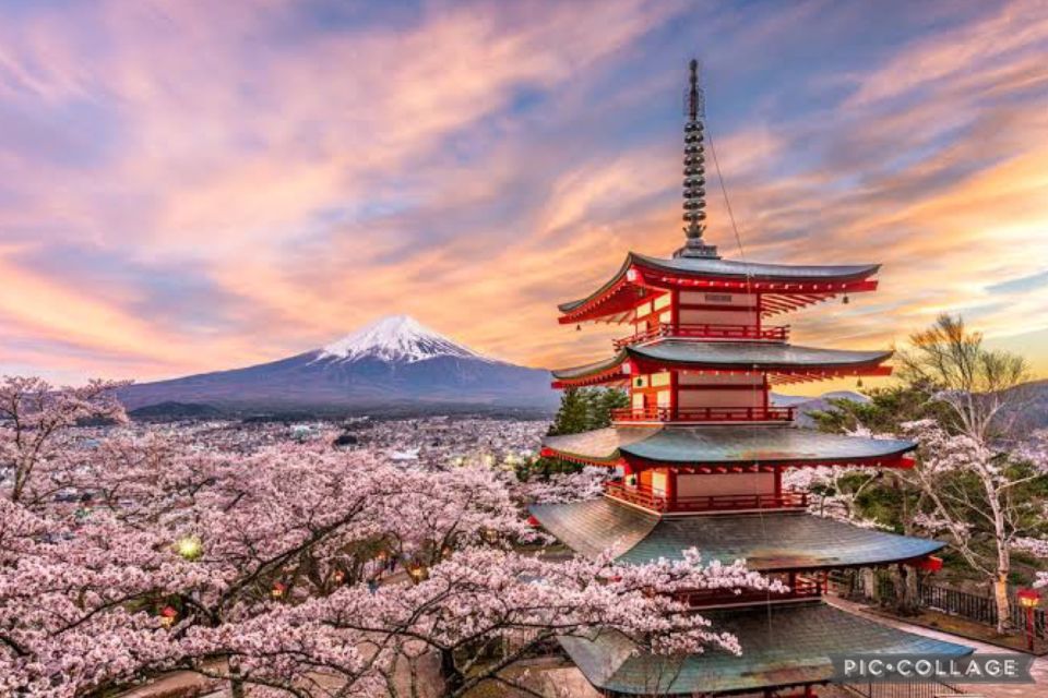 From Tokyo/Hakone/Fuji: Hakone & Mt. Fuji Day Trip W/Pickup - Duration and Pickup Details