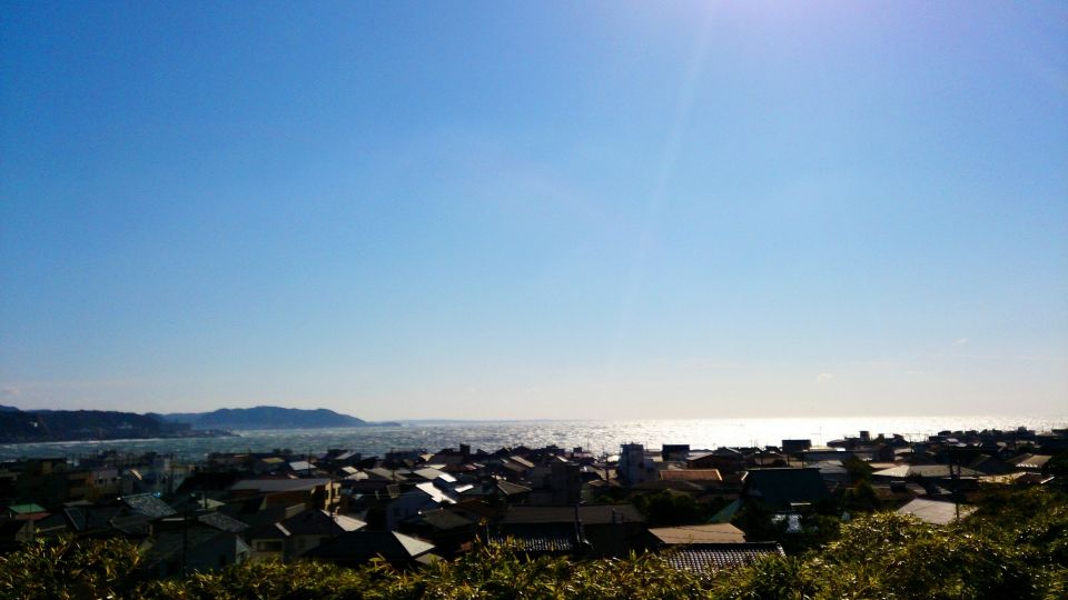 From Tokyo: Kamakura and Enoshima 1-Day Bus Tour - Experience Highlights