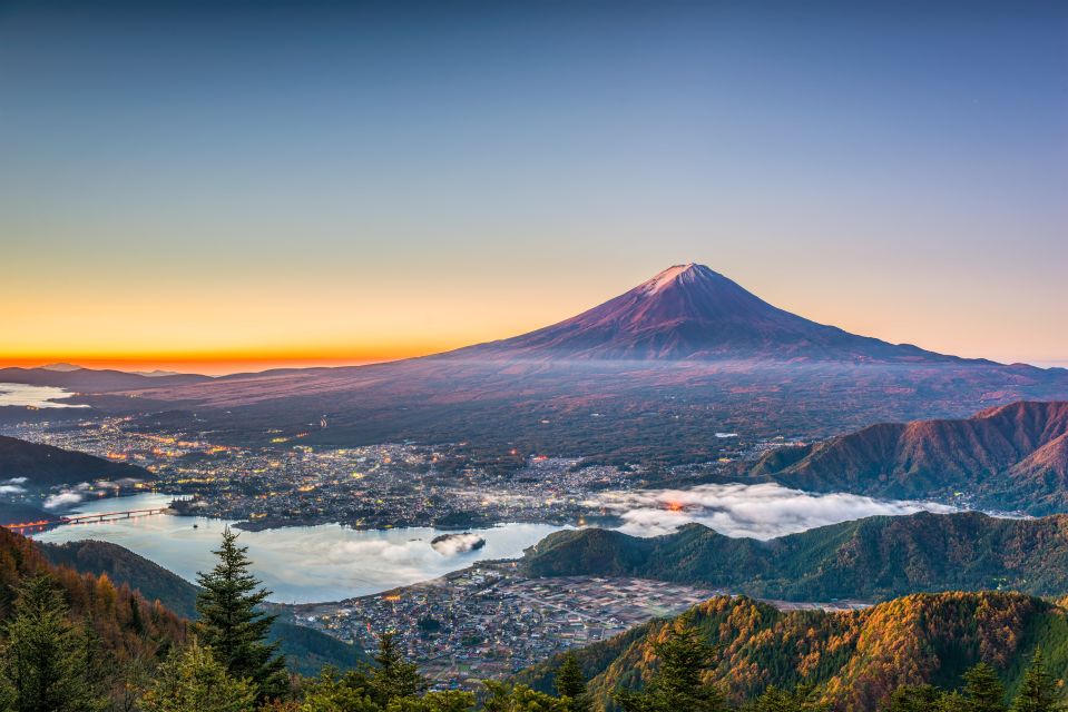 From Tokyo: Mt. Fuji or Hakone Private Sightseeing Day Trip - Experience Highlights