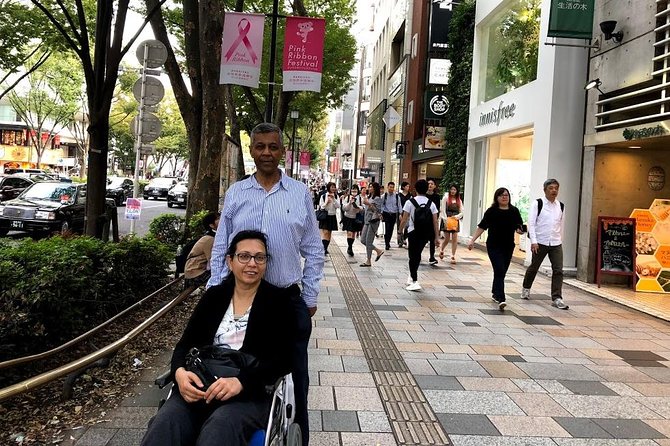 Full-Day Accessible Tour of Tokyo for Wheelchair Users - Accessibility Information