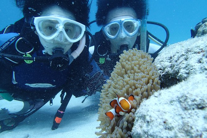 Full Day "Experience Diving" Trip at Kerama Islands - Additional Information