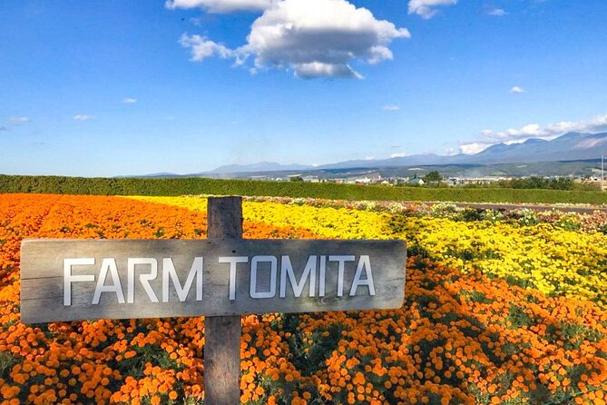 Furano & Biei 6 Hour Tour: English Speaking Driver Only, No Guide - Cancellation Policy